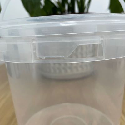 Custom Logo Druck Plastikbehälter mit Deckel Lebensmittelqualität Weiß und umweltfreundlich