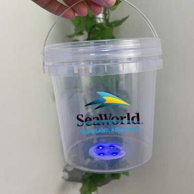 Bar Custom Logo Plastikbehälter mit Deckel 500ml/1L LED Licht Langlebig und umweltfreundlich