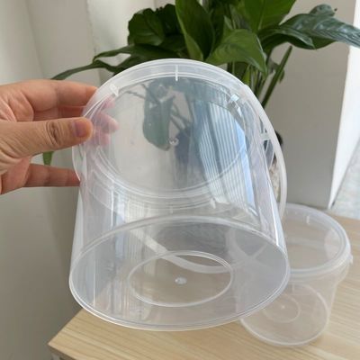 1.0MM-2.5mm Dicke Plastikbehälter für Lebensmittel mit Deckel