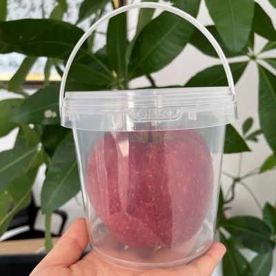 2L 3L 4L 5L Popcorn Bucket Plastikbehälter mit Seidenfilter/Wärmeübertragung/IML-Druck